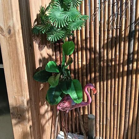 Un Petit Coin De Paradis -